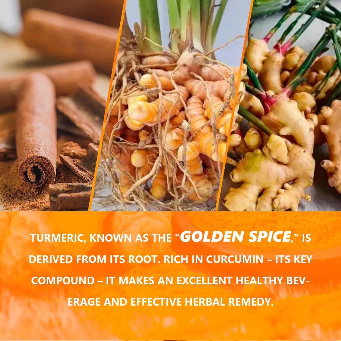 🔥Turmeric Detox Tea 🔥 for Weight Loss 💦 | Metabolism Boost & 🏋️ Belly Fat Support - WZH