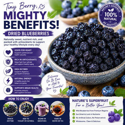 🫐 Wild Dried Blueberries-CJY
