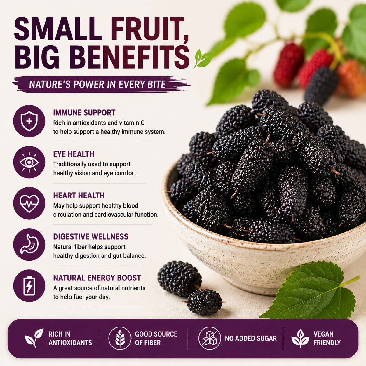 🍇💜 Premium Dried Mulberries – Natural Superfruit Snack ✨-CJY