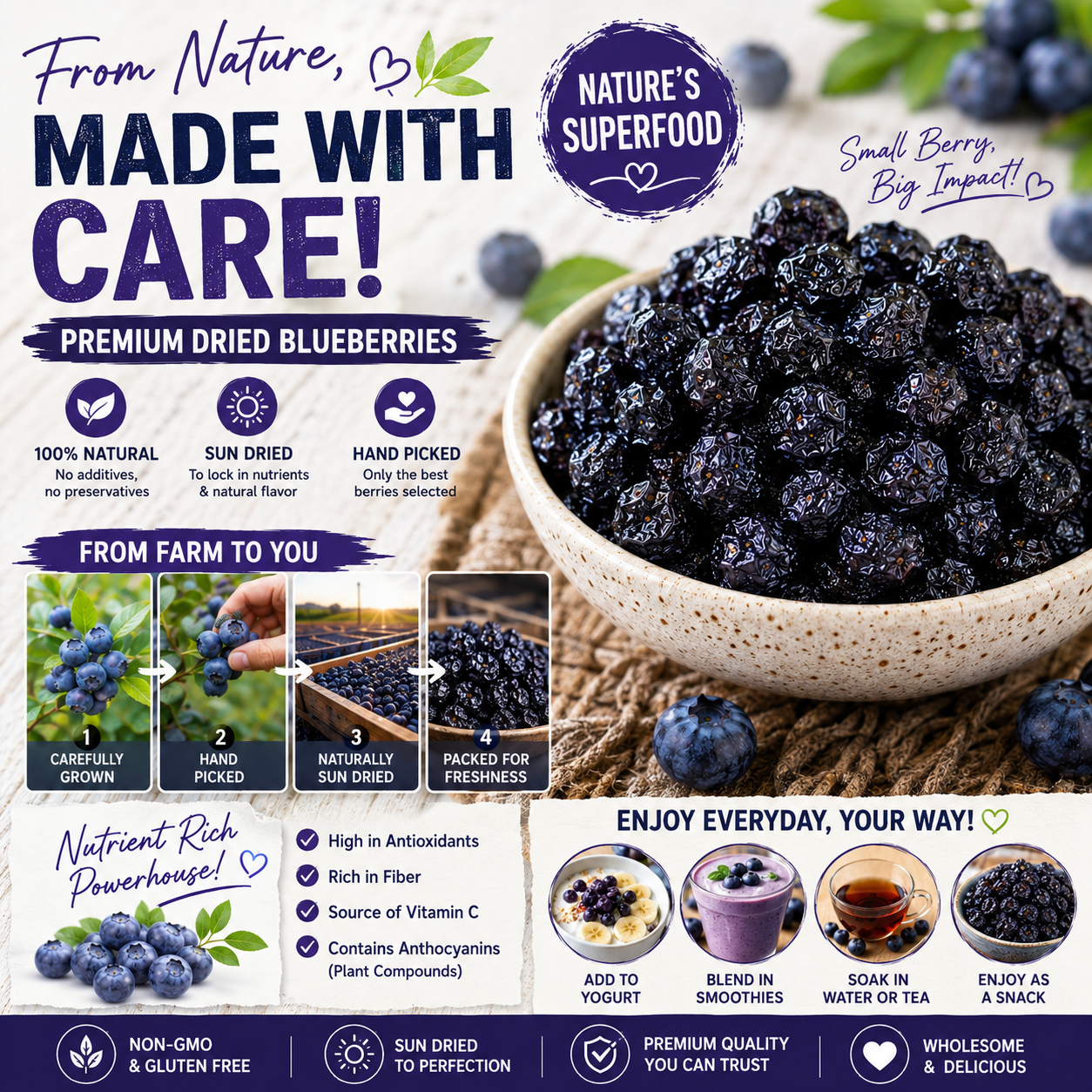 🫐 Wild Dried Blueberries-CJY