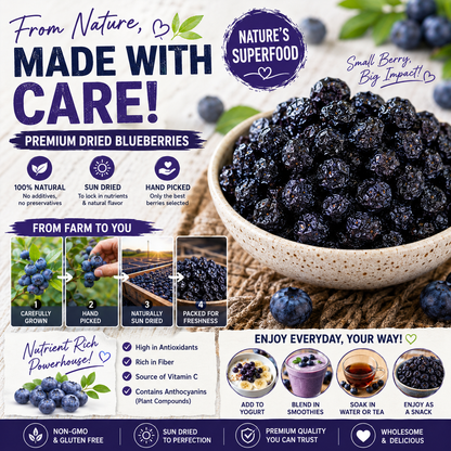 🫐 Wild Dried Blueberries-CJY