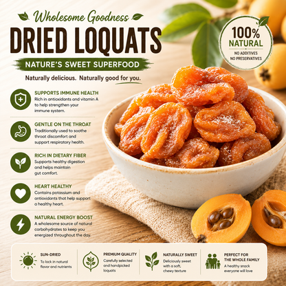 🥭 Premium Natural Loquat Snack-CJY
