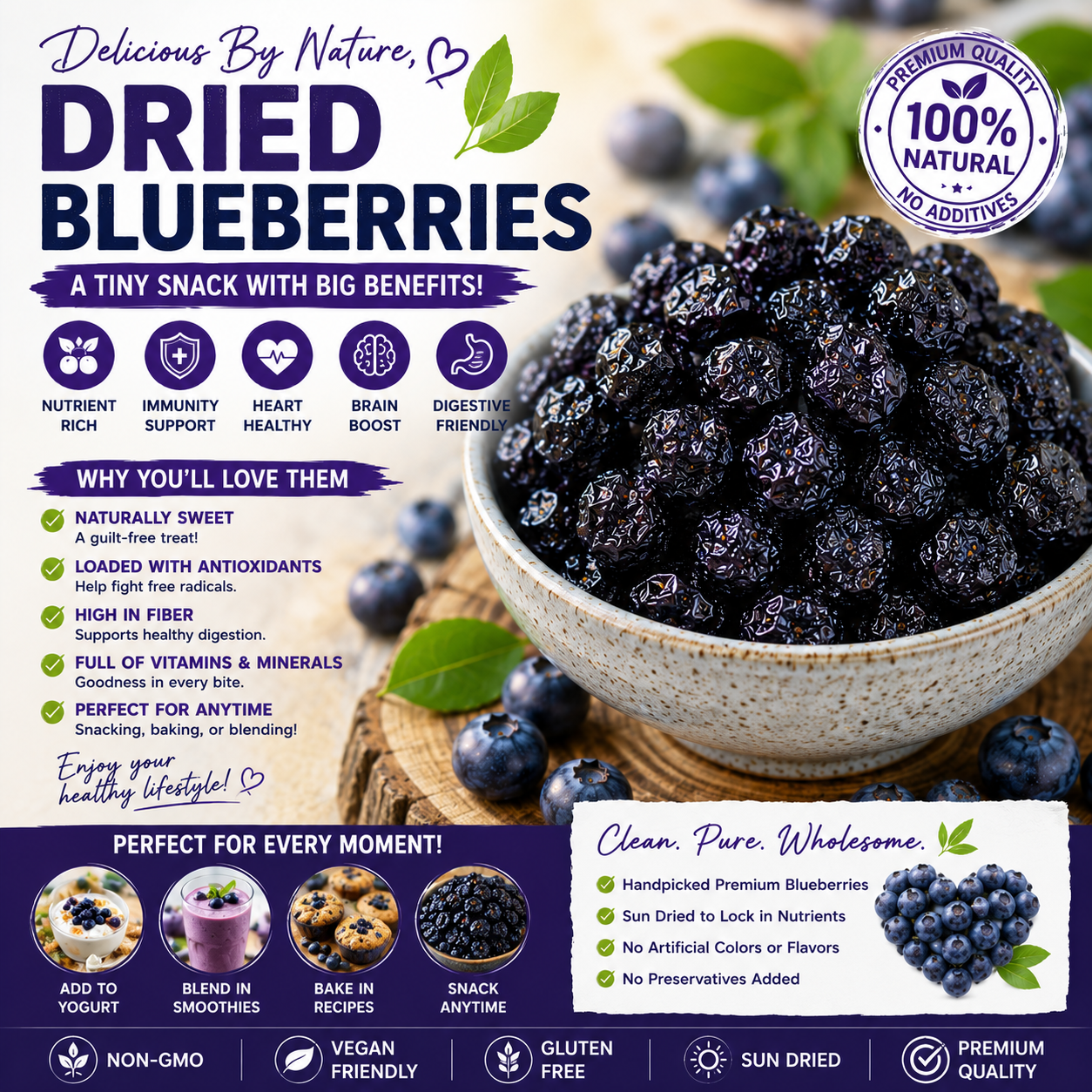 🫐 Wild Dried Blueberries-CJY