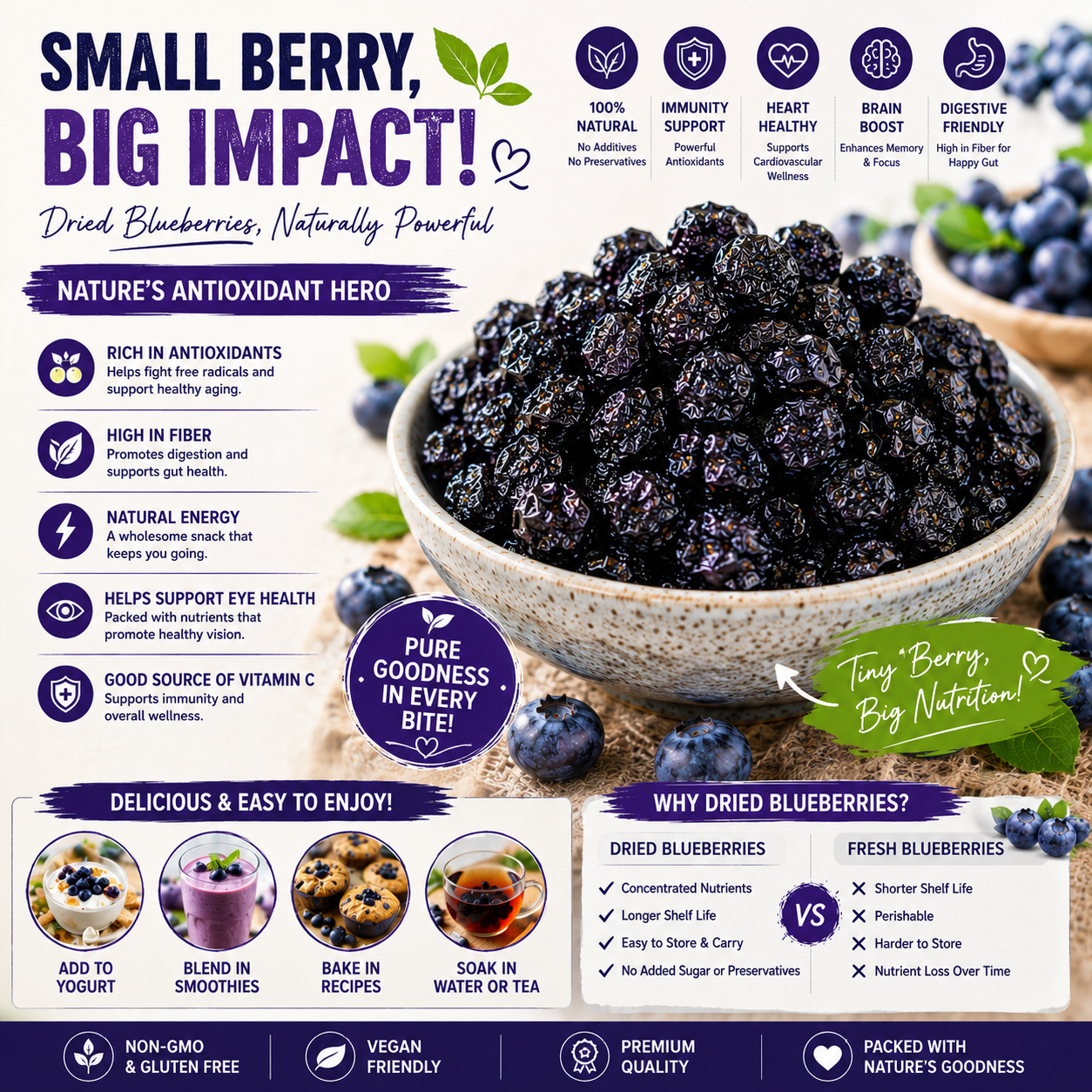 🫐 Wild Dried Blueberries-CJY