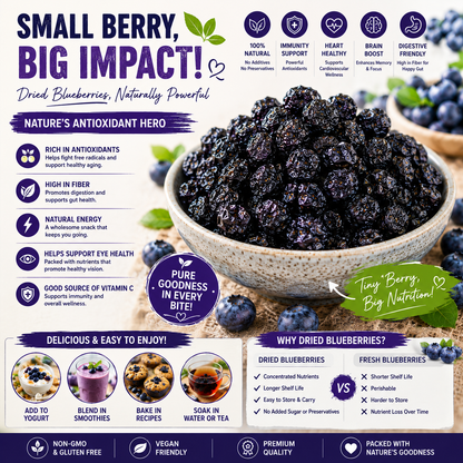 🫐 Wild Dried Blueberries-CJY