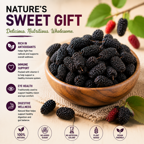 🍇💜 Premium Dried Mulberries – Natural Superfruit Snack ✨-CJY