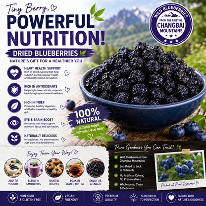 🫐 Wild Dried Blueberries-CJY
