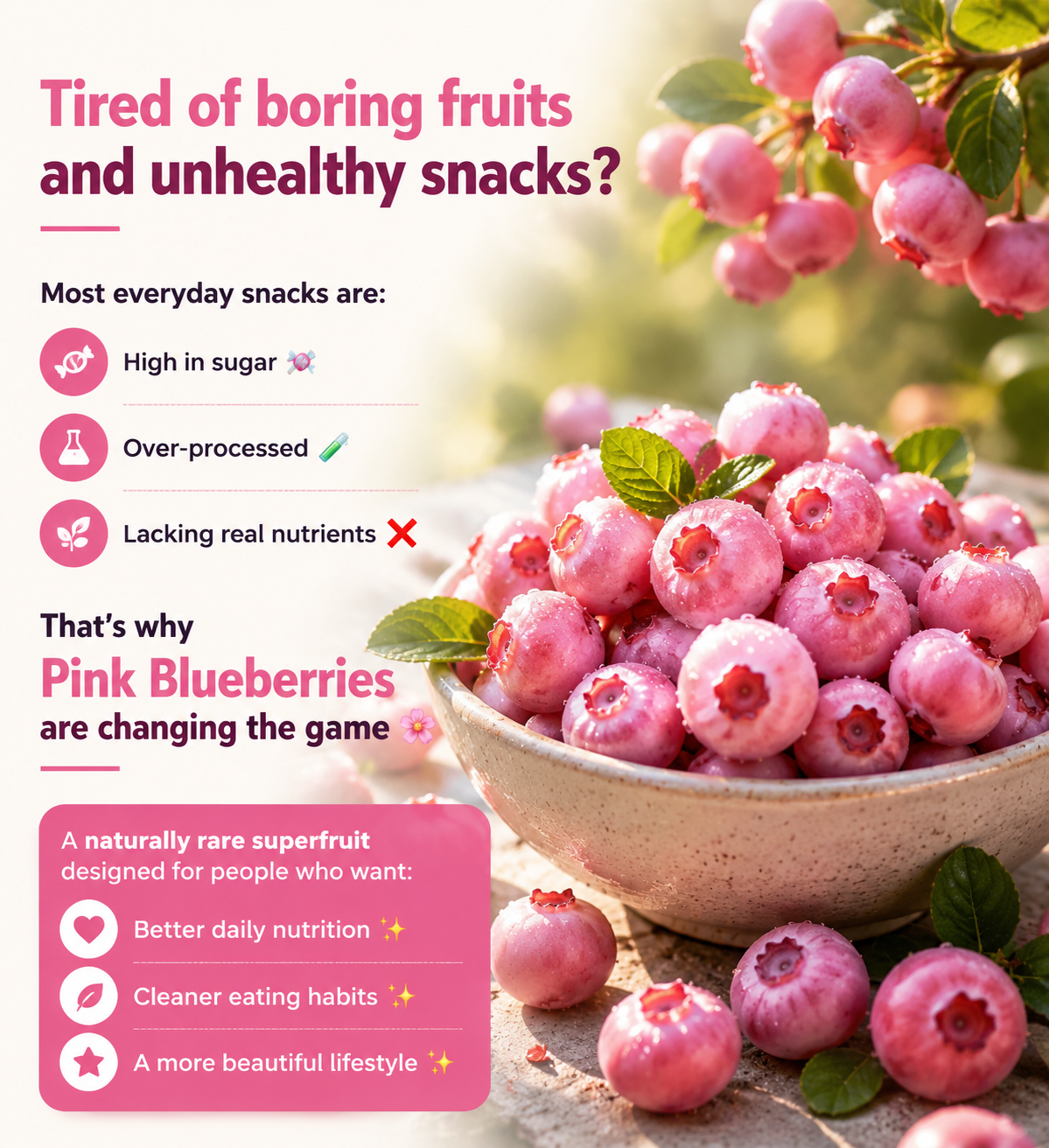 🍇✨ Premium Pink Blueberry Seeds 🌸💗 Rare Exotic Superfruit for Beautiful Home Growing & Natural Wellness 🌿-DG1
