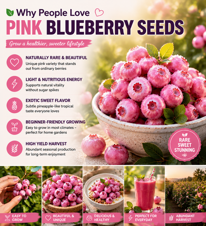 🍇✨ Premium Pink Blueberry Seeds 🌸💗 Rare Exotic Superfruit for Beautiful Home Growing & Natural Wellness 🌿-DG1