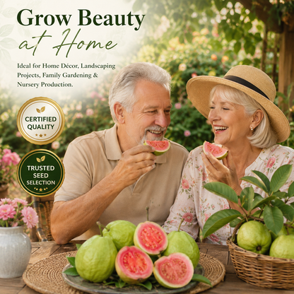 Premium Red Guava Seeds for Home Gardens, Balconies, Patios & Backyard Planting-WZH