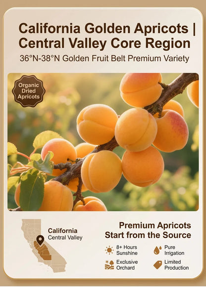 🏅Premium Seedless Golden Dried Apricots🟠 | Packed with Vitamin C & Natural Potassium, Promote Smooth Digestion, Relieve Bloating & Constipation, Nourish Heart & Boost Sustained Energy, Clean Organic Fruit Snack ❌ No Artificial Sugar-ZYY