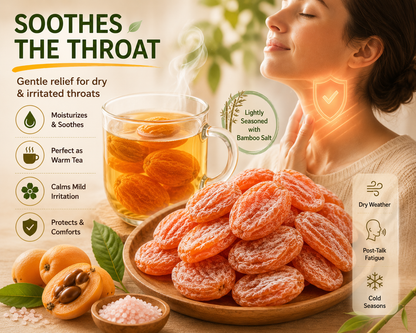 🌿✨ Bamboo Salt Dried Loquats – Naturally Sweet & Soothing 🌡️🩸 Supports Blood Sugar & Comforts the Throat 🍊💧-DG1