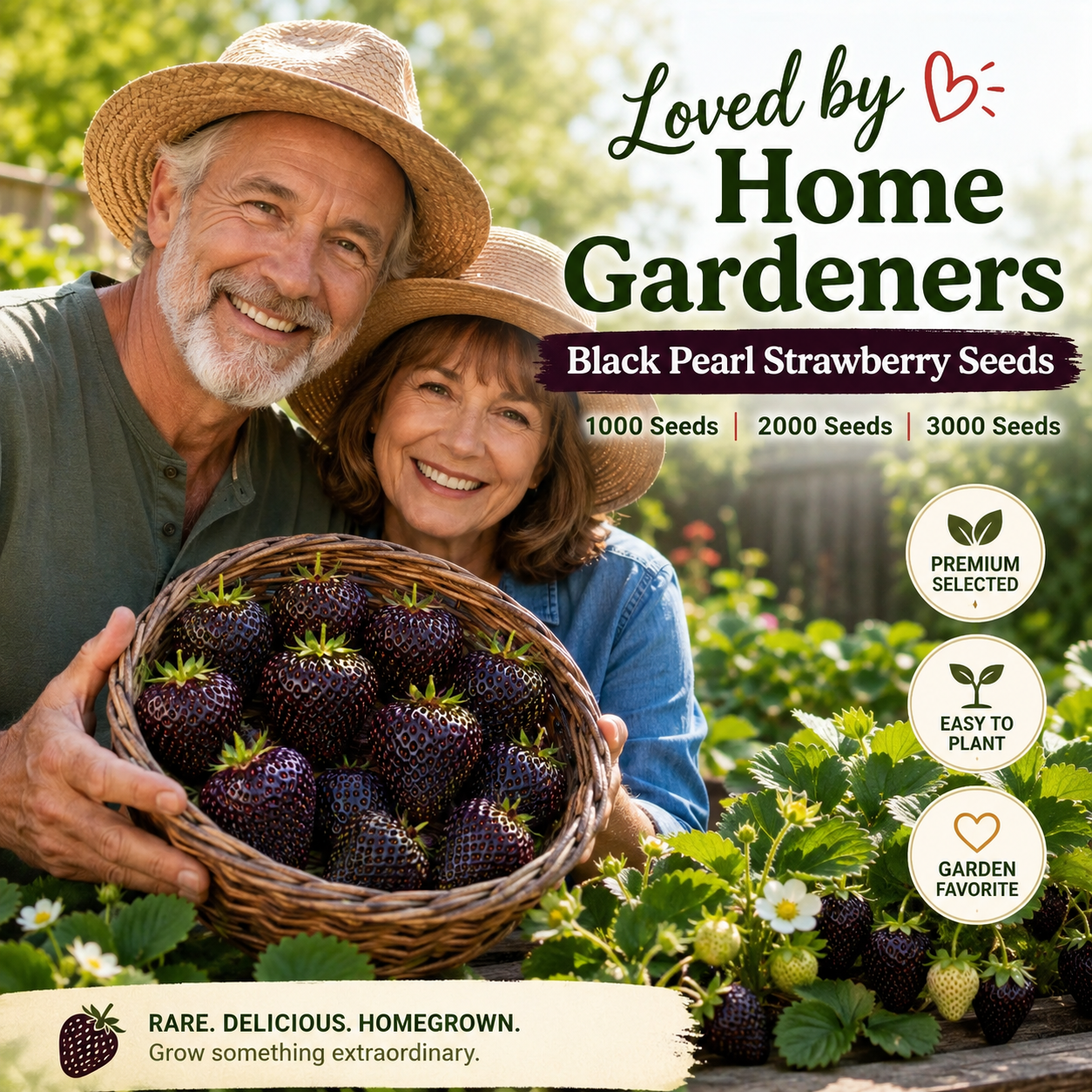 🍓Premium Black Pearl Strawberry Seeds for Indoor Pots, Balcony Planters & Home Gardens-WZH