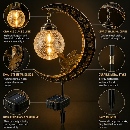 🌙✨ Solar Hummingbird Moon Garden Light 🐦☀️ – Magical Glass Globe Stake Lamp for Enchanting Nighttime Yard Decor 🌿🌌DG