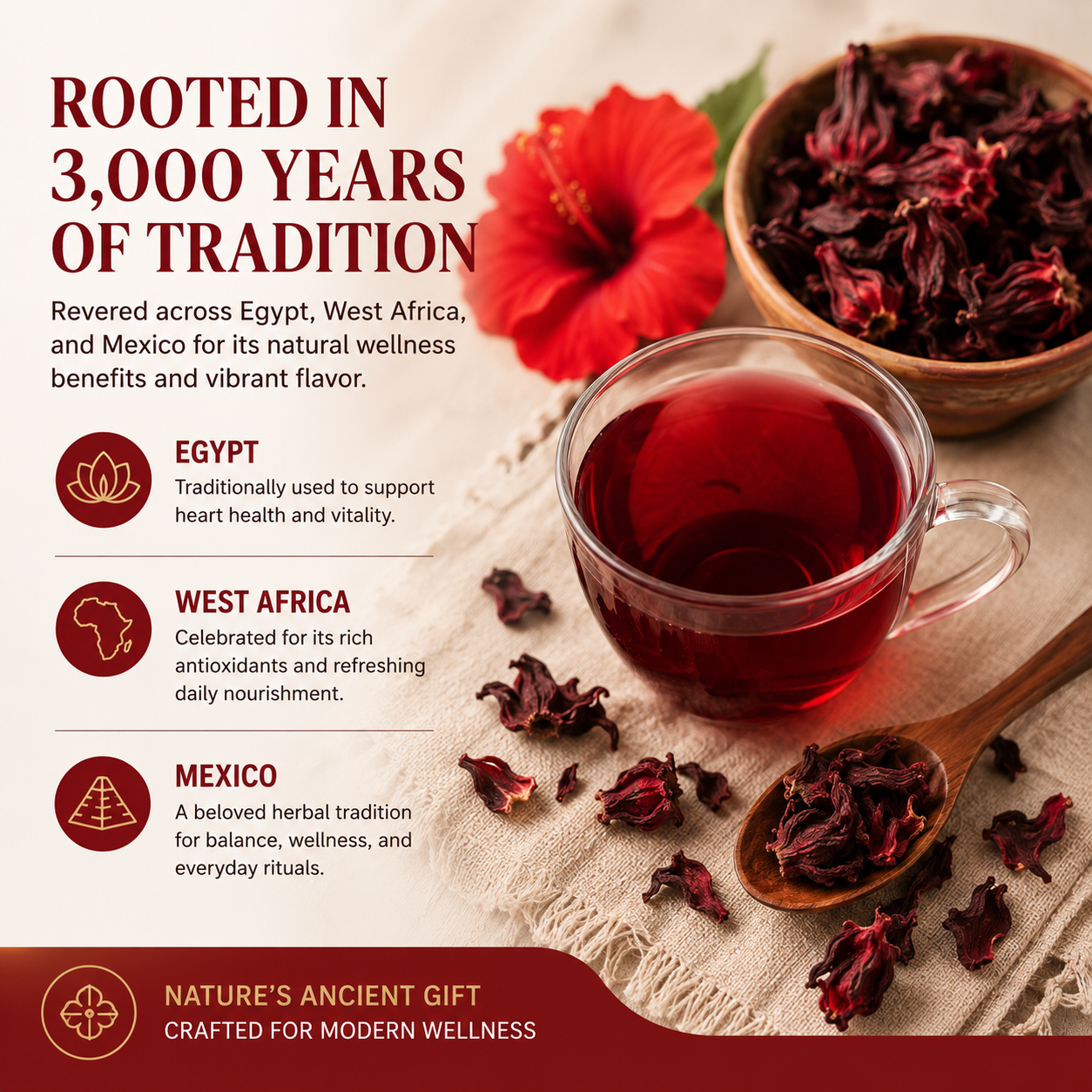 🌺✨ Premium Hibiscus Sabdariffa Herbal Tea 🍵❤️ – Boost Blood Health & Promote Circulation Naturally 🌿💖 🌸 Supports Heart & Vessel Wellness | 💧 Energizing Daily Ritual for Men & Women 🏃‍♀️💪-ZZ