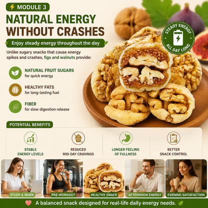 🌿🍯 Fig Stuffed with Walnut – Metabolism & Weight Management Support Superfood Snack 🌰✨-DG1