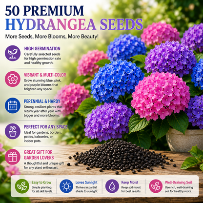 🌸✨ Blue Pink Purple Hydrangea Seeds 🌿🌈 Grow Stunning Multi-Color Blooms That Transform Any Garden 💙💖💜-ZZ