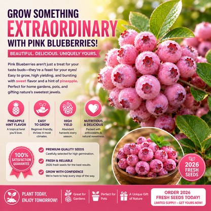 🍓✨ Premium Pink Blueberry Seeds 🌸💖 Rare Sweet Exotic Fruit You Can Grow at Home 🌿🌈-ZZ