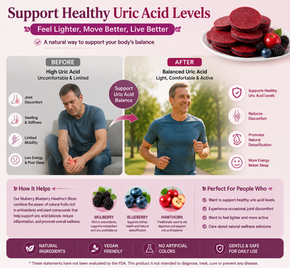 🍒🌿 Fig + Blueberry Hawthorn Slice Snack – Natural Digestive Wellness, High Fiber & Clean Energy Superfruit Bite ✨-DG1