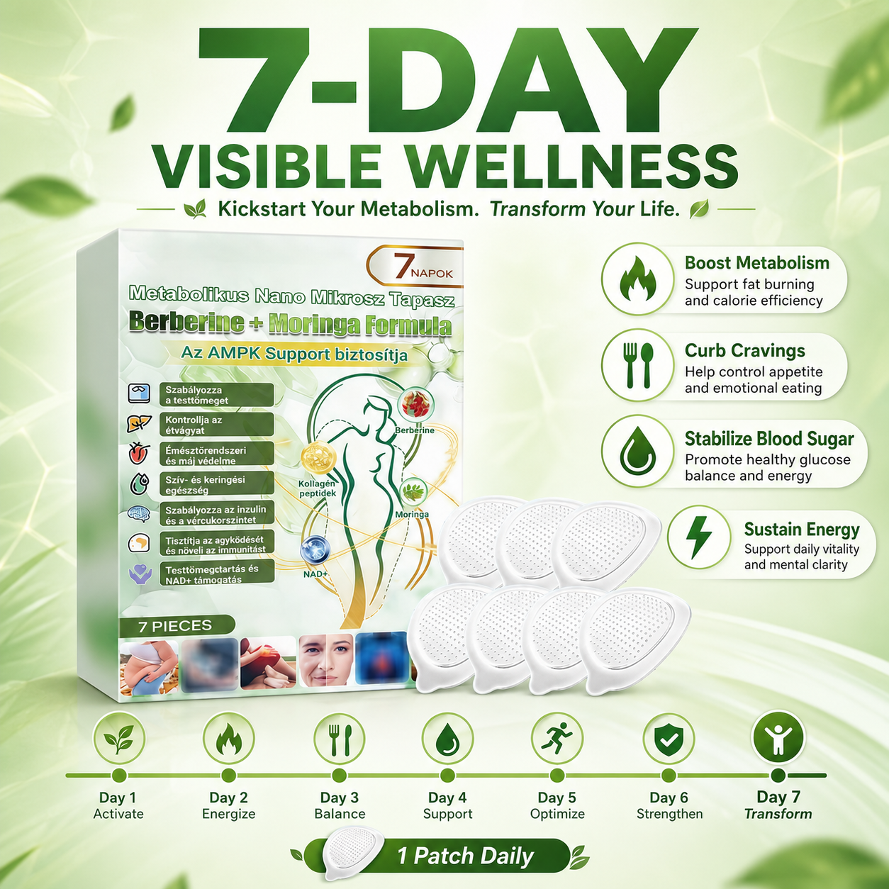 Advanced Metabolic Nano Microneedle Patch🎄 1 Patch Daily ✨7-Day Visible Wellness Berberine Moringa Complex ✅Boost Metabolism, Curb Cravings, Stabilize Blood Sugar & Sustain Energy 💥-ZYY