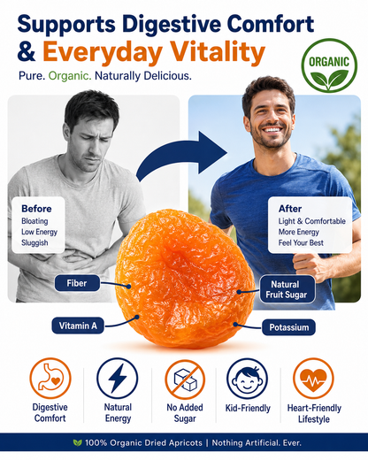 🏅Premium Seedless Golden Dried Apricots🟠 | Packed with Vitamin C & Natural Potassium, Promote Smooth Digestion, Relieve Bloating & Constipation, Nourish Heart & Boost Sustained Energy, Clean Organic Fruit Snack ❌ No Artificial Sugar-ZYY